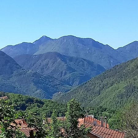 L'Ibrus Blue Bed & Breakfast Belvedere  Luaran gambar