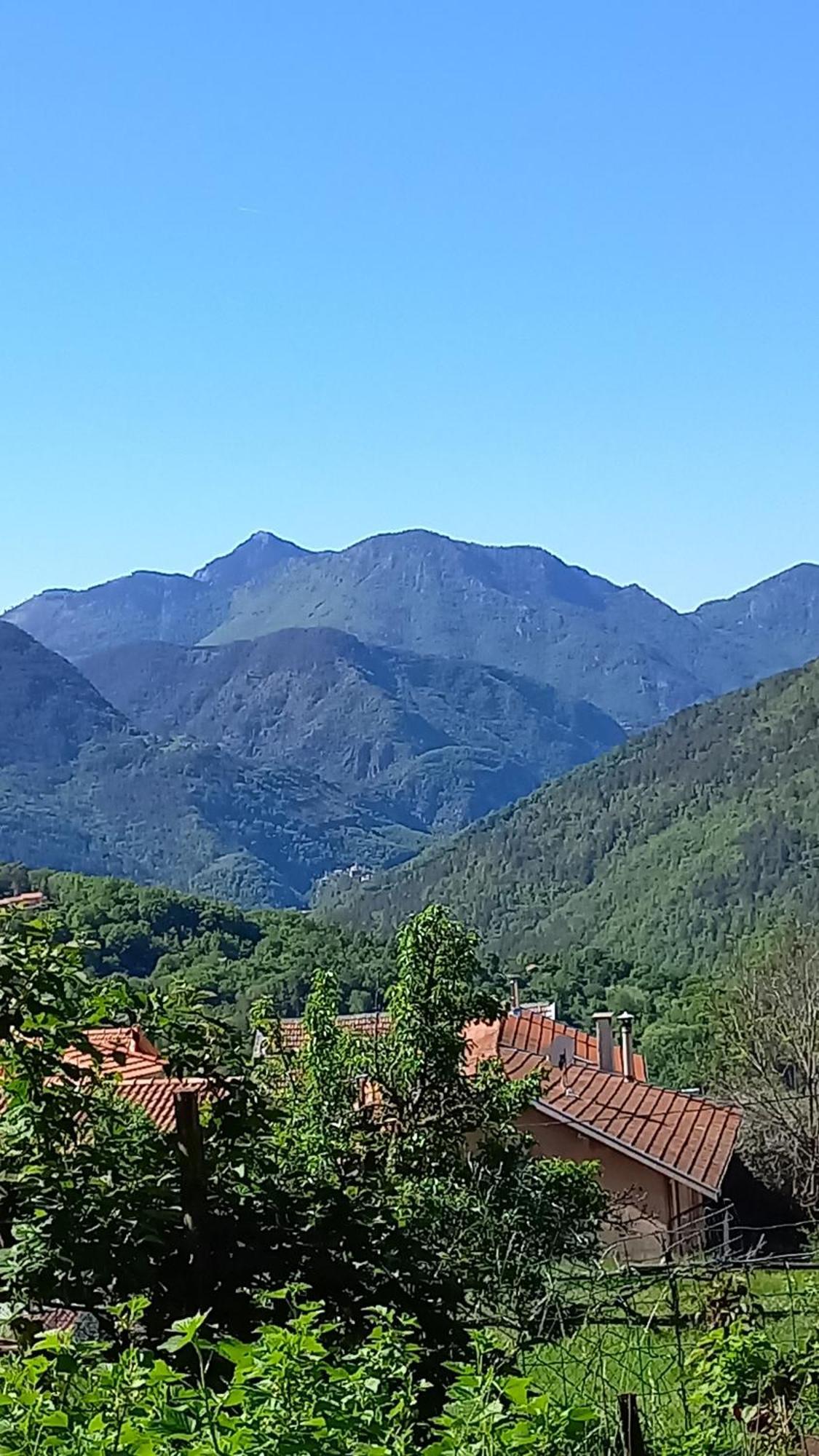 L'Ibrus Blue Bed & Breakfast Belvedere  Luaran gambar
